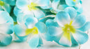 1 Set of 20 LED Tropical Blue Frangipani Flower Battery 3m String Lights Christmas Gift Home Wedding Beach Party Decoration