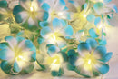 1 Set of 50 LED Tropical Blue Frangipani Flower Battery 5m LONG String Lights Christmas Gift Home Wedding Beach Party Decoration Outdoor