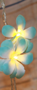 1 Set of 50 LED Tropical Blue Frangipani Flower Battery 5m LONG String Lights Christmas Gift Home Wedding Beach Party Decoration Outdoor