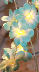 1 Set of 50 LED Tropical Blue Frangipani Flower Battery 5m LONG String Lights Christmas Gift Home Wedding Beach Party Decoration Outdoor