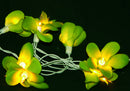 1 Set of 20 LED Green Frangipani Flower Battery String Lights Christmas Gift Home Wedding Party Decoration Outdoor Table Garland Wreath