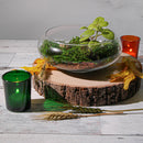 10 Pack Green Glass Votive Candle Holders Table Centreoieces  Xmas Wedding Anniversary Event Recption Party Function or Home Decor