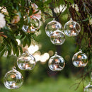 24 pack Hanging Clear Glass Ball Tealight Candle Holder  - 8cm Diameter / High - Wedding Globe Decoration Terrarium Succulent Plant Holder Decor