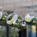 10 x Hanging Clear Glass Ball Tealight Candle Holder - 10cm Diameter / High - Wedding Globe Decor Terrarium Succulent Plant Holder Decor Craft Gift