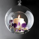 24 pack Hanging Clear Glass Ball Tealight Candle Holder  - 8cm Diameter / High - Wedding Globe Decoration Terrarium Succulent Plant Holder Decor