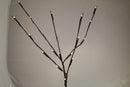 10 Sets of LED Light Bunch Stem - Warm White BATTERY fairy lights - 50cm high 20 bulbs/petals