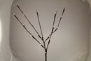 10 Sets of LED Light Bunch Stem - Warm White BATTERY fairy lights - 50cm high 20 bulbs/petals