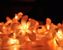 1 Set of 20 LED Orange Frangipani Flower Battery String Lights Christmas Gift Home Wedding Party Decoration Outdoor Table Garland Wreath