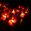 1 Set of 20 LED Deep Red Frangipani Flower Battery String Lights Christmas Gift Home Wedding Party Decoration Outdoor Table Garland Wreath