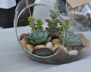 4 x Hanging Clear Glass Ball Tealight Candle Holder  - 10cm Diameter / High - Wedding Globe Decoration Terrarium Succulent Plant Holder Decor