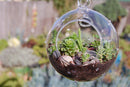 24 Hanging Clear Glass Ball Tealight Candle Holder - 10cm Diameter / High - Wedding Globe Decoration Terrarium Succulent Plant Holder Decor