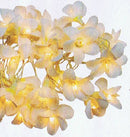 1 Set of 20 LED White Frangipani Flower Battery String Lights Christmas Gift Home Wedding Beach Party Decoration Outdoor Table Centrepiece