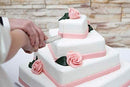 Cutting Cake Knife and Silver Blade Cake Server Set Wedding Anniversary Engagement Birthday Party Gift Boxed