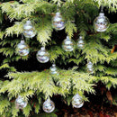 20 x Glass Bauble 8cm Diameter Round Clear with Silver Cap - table or tree centrepice personal memory theme craft gift