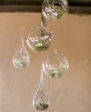 10 x Hanging Clear Glass Ball Tealight Candle Holder - 10cm Diameter / High - Wedding Globe Decor Terrarium Succulent Plant Holder Decor Craft Gift
