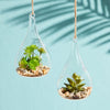 10 Pack of Hanging Clear Glass Tealight Candle Holder Tear Drop Pear Shape - 12cm High - Terrarium Plant Mini Garden Holder Decor