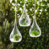 10 Pack of Hanging Clear Glass Tealight Candle Holder Tear Drop Pear Shape - 12cm High - Terrarium Plant Mini Garden Holder Decor