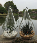 10 Pack of Hanging Clear Glass Tealight Candle Holder Tear Drop Pear Hour Glass Shape - 20cm High Terrarium Plant Mini Garden Holder Decor