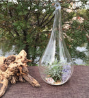 10 Pack of Hanging Clear Glass Tealight Candle Holder Tear Drop Pear Hour Glass Shape - 20cm High Terrarium Plant Mini Garden Holder Decor