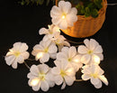 1 Set of 20 LED White Frangipani Flower Battery String Lights Christmas Gift Home Wedding Beach Party Decoration Outdoor Table Centrepiece