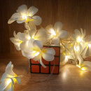 1 Set of 20 LED White Frangipani Flower Battery String Lights Christmas Gift Home Wedding Beach Party Decoration Outdoor Table Centrepiece